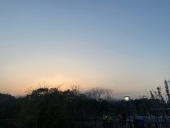 -上海国际音乐村