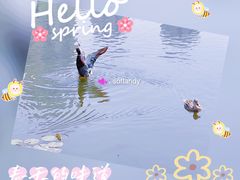 -前关湿地公园