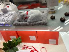 -乐天免税店(明洞店)