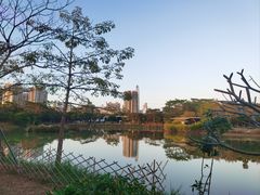 -福田红树林生态公园