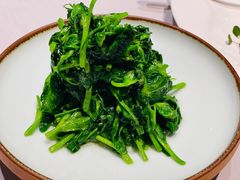 清炒豌豆尖-屋里厢上海菜馆