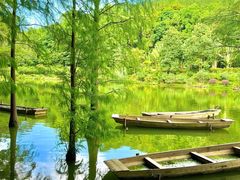 -深圳仙湖植物园