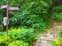 -团城山公园