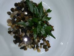 水里面的-聚春园驿馆(福州三坊七巷店)