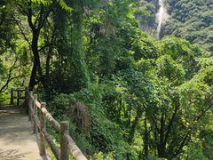 -太平万花山景区