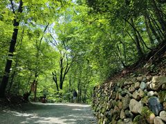 -本溪汤沟绿石谷森林公园