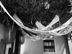 -白兔子密室(长寿路店)