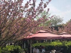 -荷风细雨·中国茶宴(碧云店)