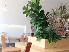 -致璞ZHIPU Rolling on(青岛极地店)