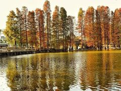 -华南国家植物园-售票处