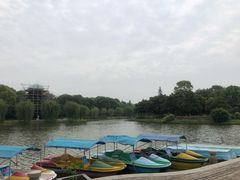 -上海鲜花港