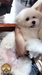 -康康时尚烫染