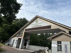 -中国大熊猫保护研究中心雅安碧峰峡基地