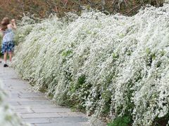 -共青国家森林公园-售票处