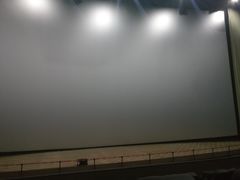 -天幕新彩云国际影城(激光巨幕店)