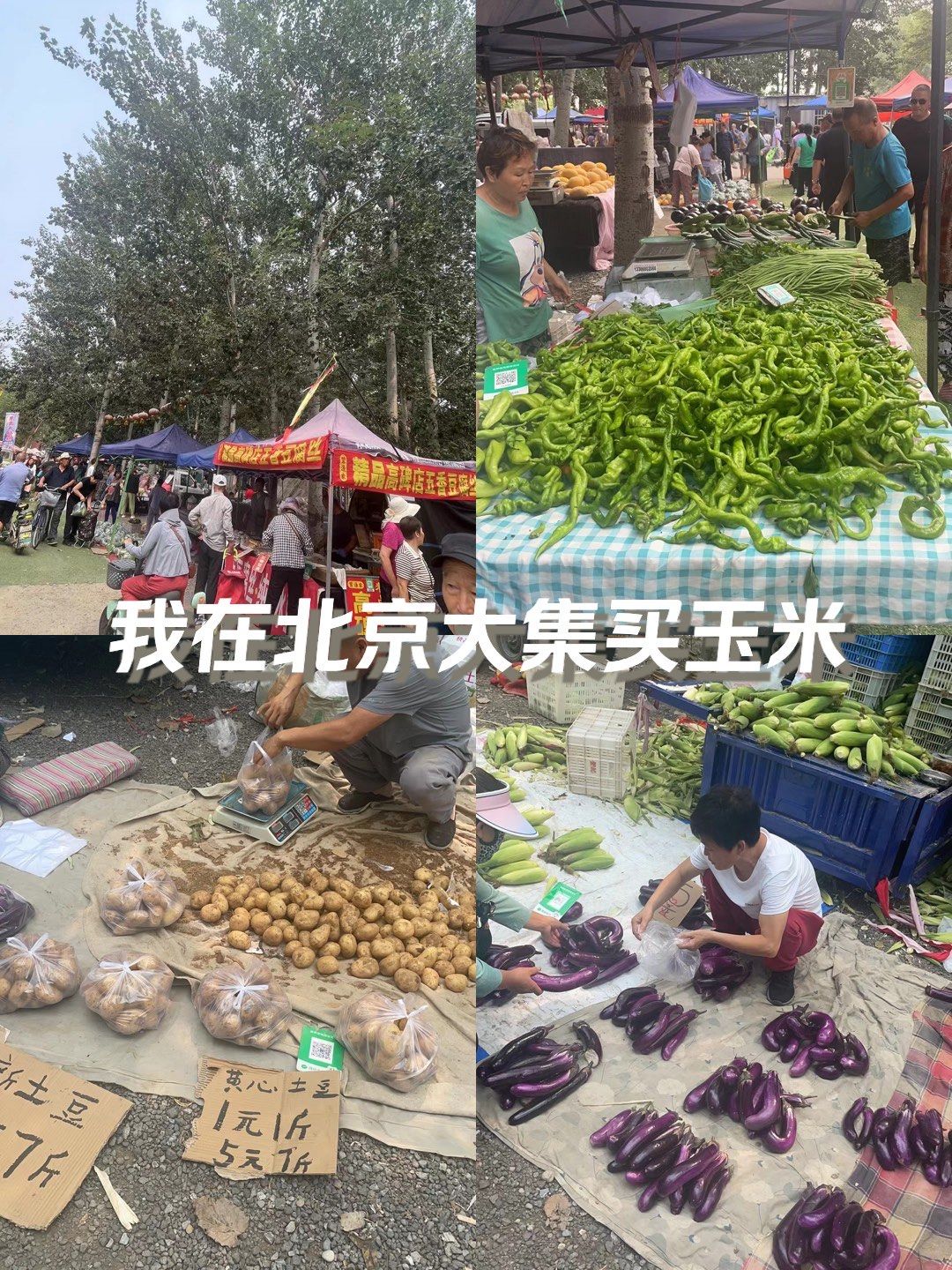 逛菜市场 #农村大集 #梨村大集