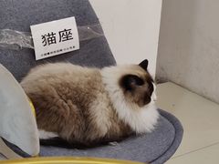 -Best U照相馆证件照·外拍(五角场店)