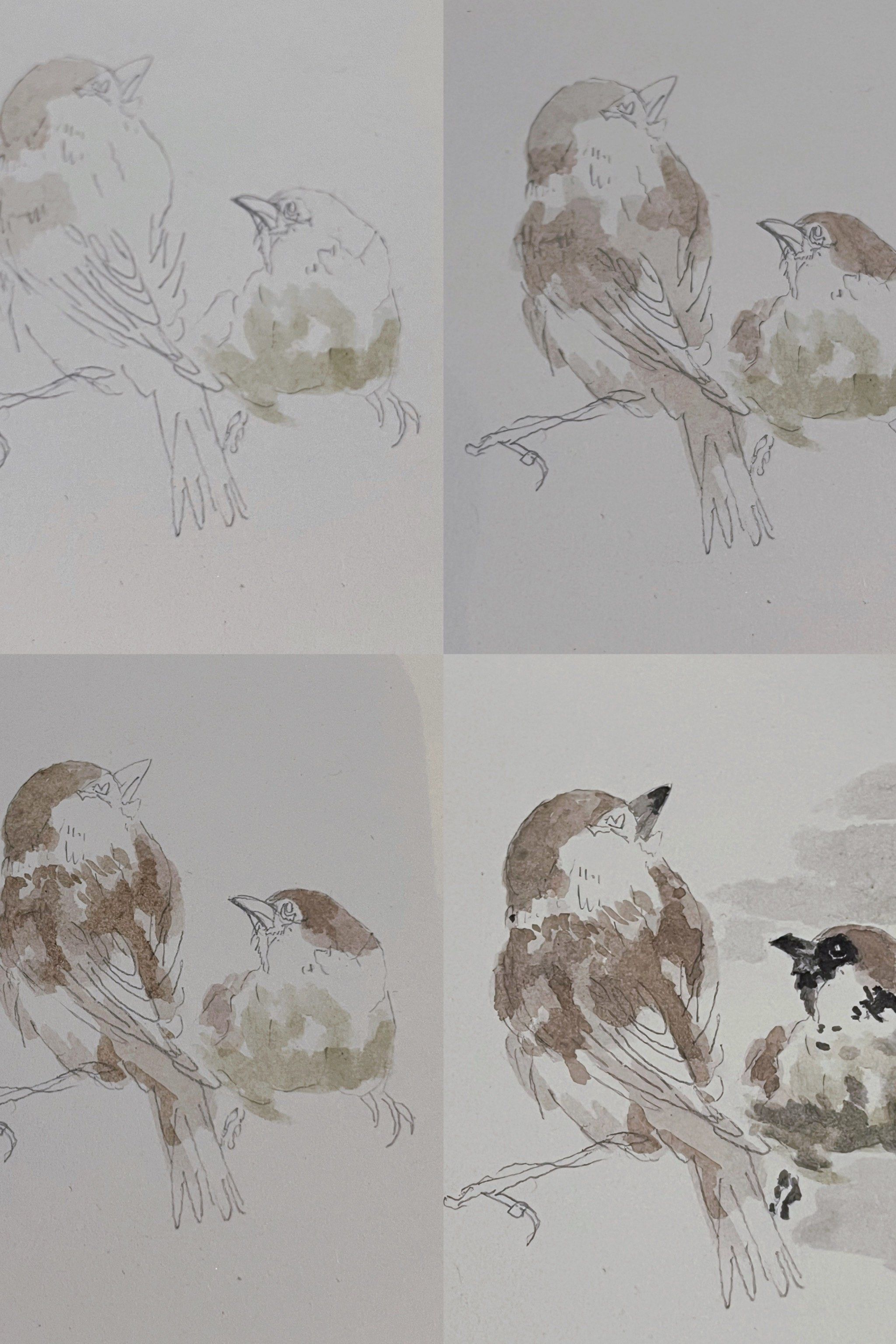 今日画水粉画 爱情鸟