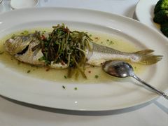 -老洋房花园饭店(绍兴路店)