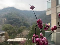 -余姚阳明温泉山庄
