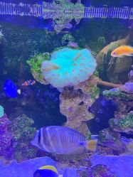 -Zoolung Zoolung动物主题公园(海信广场店)