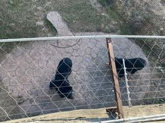 -无锡动物园·太湖欢乐园