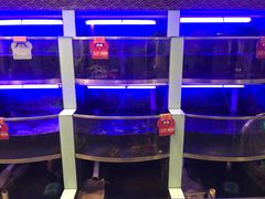 水产区-七欣天(浦东羽山乐坊店)