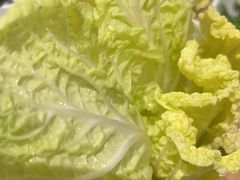-蜀九香火锅(彩虹店)