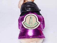 -PETKIT 小佩宠物·低压洗护·美容·寄养(安远店)