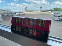 -班达拉奈克国际机场