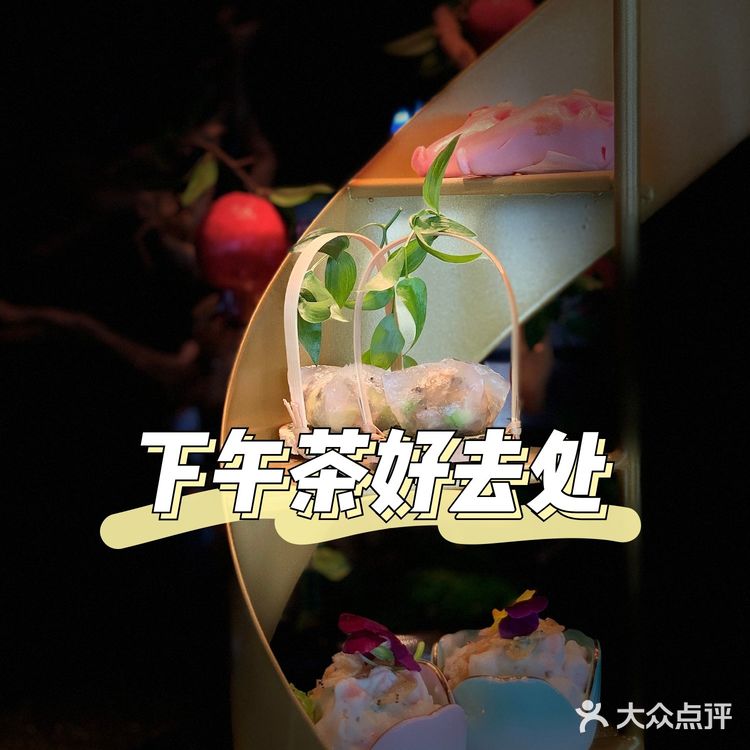 情侣下午茶的好去处|心乐蝶舞