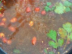 -吉祥馄饨(杭州博库书城店)