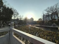 -莲湖公园