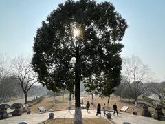 -南京市江宁方山