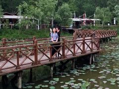 -合肥滨湖国家森林公园