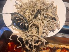 草原千层肚-凤来栖·净庭院·火锅(欧尚店)