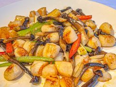 -天福苑(崇宁路店)