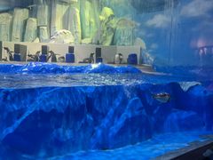 -石家庄市动物园