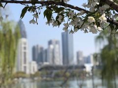 -西北湖绿化广场