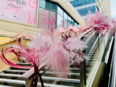 -中海环宇荟