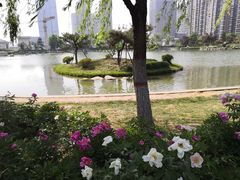 -木塔寺遗址生态公园