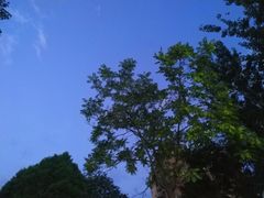 -杯欢制茶(三里屯店)