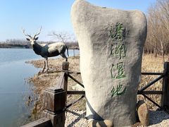 -溱湖国家湿地公园