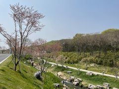 -羊山湖公园