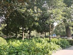 -常州古运河南大街文化旅游区-人民公园