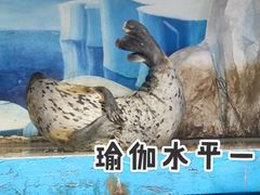 -台州海洋世界