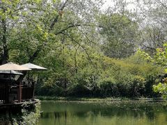 -西溪国家湿地公园