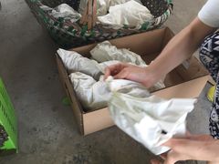 -马陆小张葡萄园农家乐