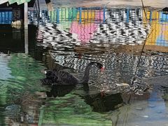 -北京鹿世界主题园