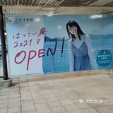 JR西日本宫岛轮渡